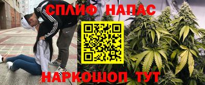 ECSTASY Канаш
