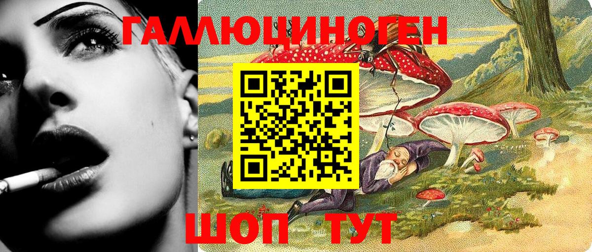 Кудымкар  Галлюциногенные грибы Cubensis  Вход с VPN 